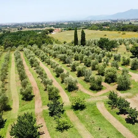 Holiday home Antica Fattoria Borghesi *