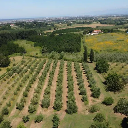 度假居 Antica Fattoria Borghesi