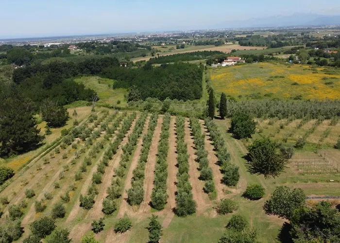 Casa de Férias Antica Fattoria Borghesi